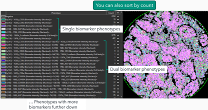 other-image-email-VISrelease0325-PhenoplexList